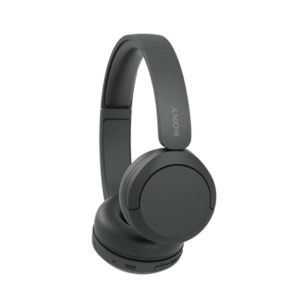 Sony WH-CH520 Headphones (6M)